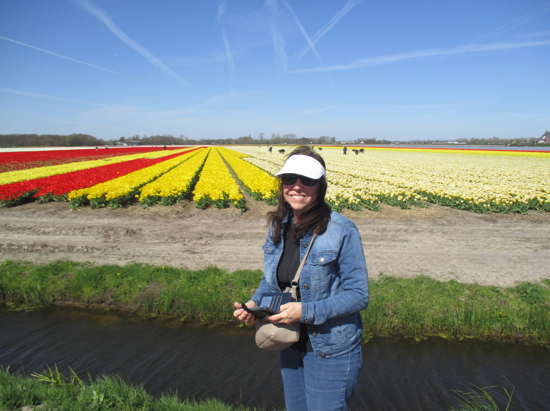 B&B Het Hart van Haarlem主图