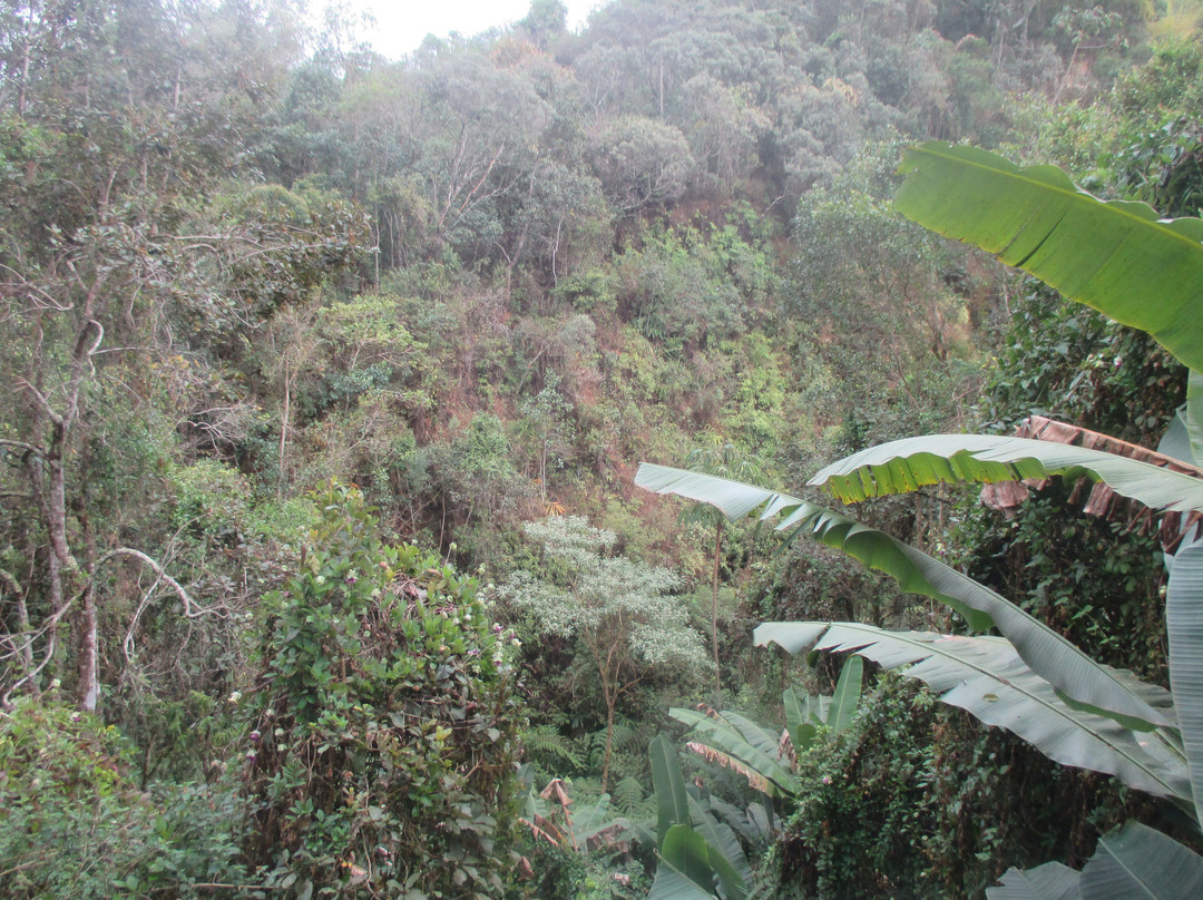 Parque Vale dos Contos-欧鲁普雷图必去景点