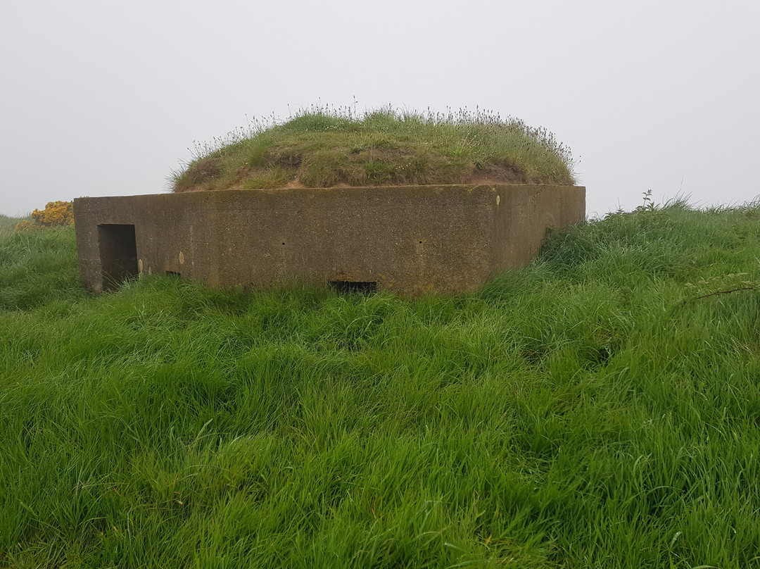 Reighton Sands Beach-Reighton必去景点