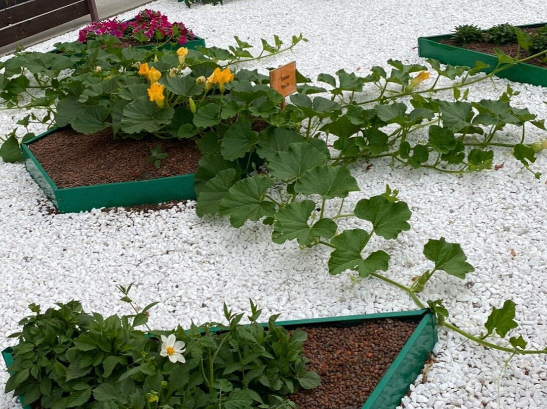 Vavilovsky vegetable garden-Akademgorodok必去景点