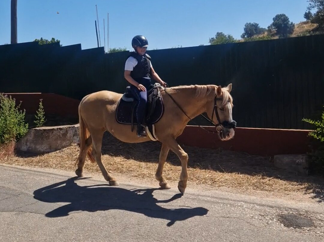 Country Riding Centre-Silves必去景点