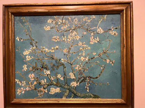 Amor Artium-阿姆斯特丹必去景点