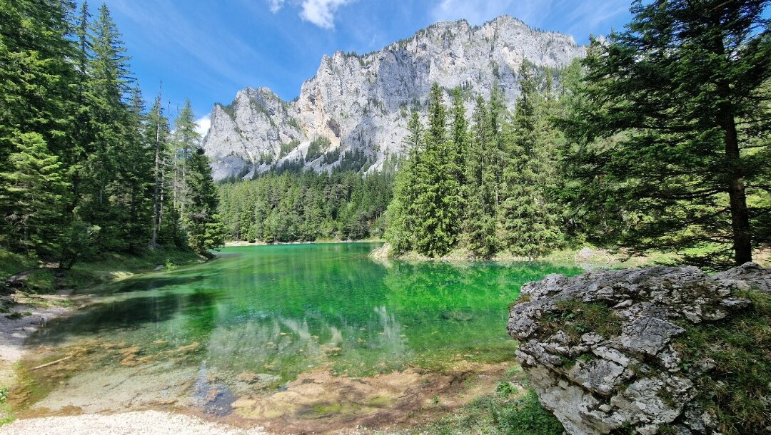 Green Lake景点图片