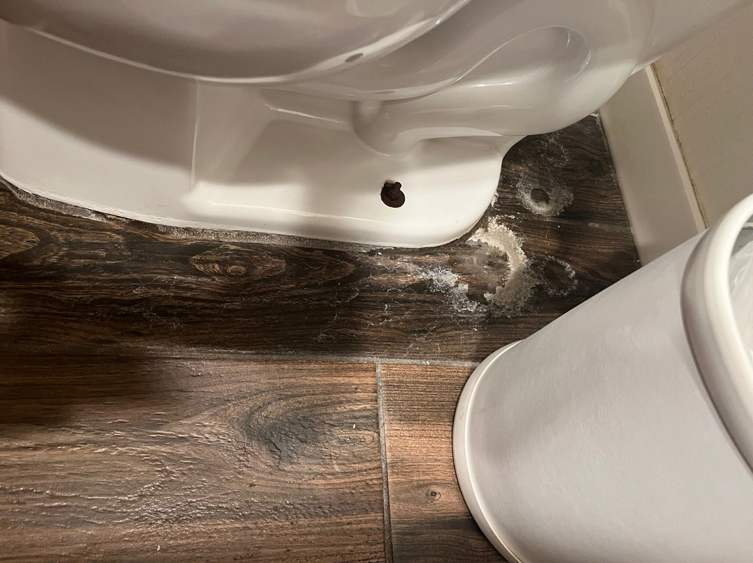 夏洛特/马修斯希尔顿恒庭酒店主图