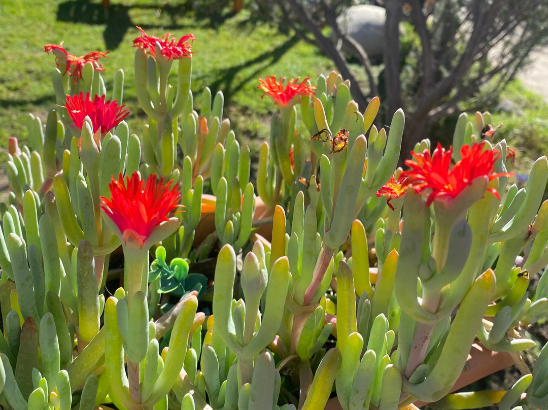 Hotel Vertientes de Elqui主图