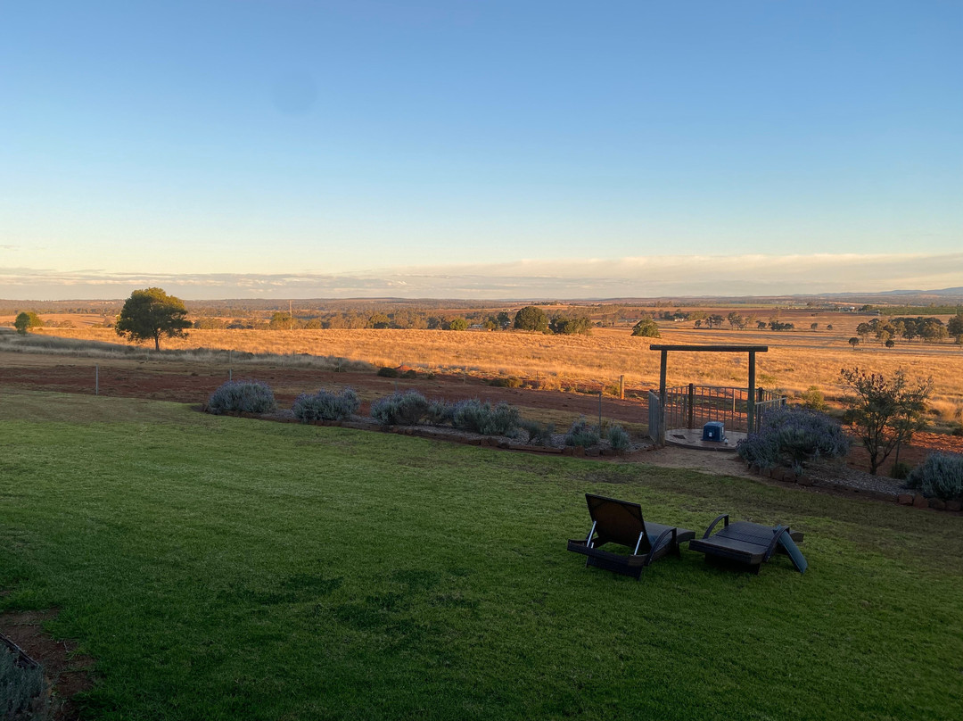 Mulanah Gardens主图