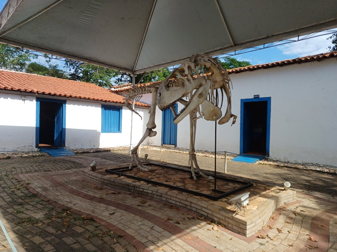 Museu de História Natural De Mato Grosso景点图片