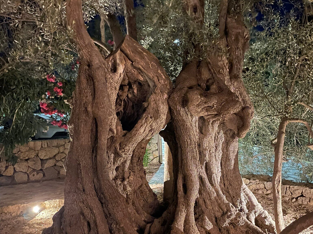Agroturismo Ca Sa Vilda Marge主图