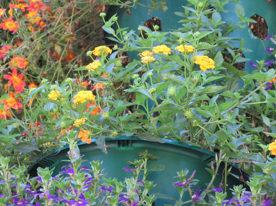 Oshawa Valley Botanical Gardens-奥沙瓦必去景点