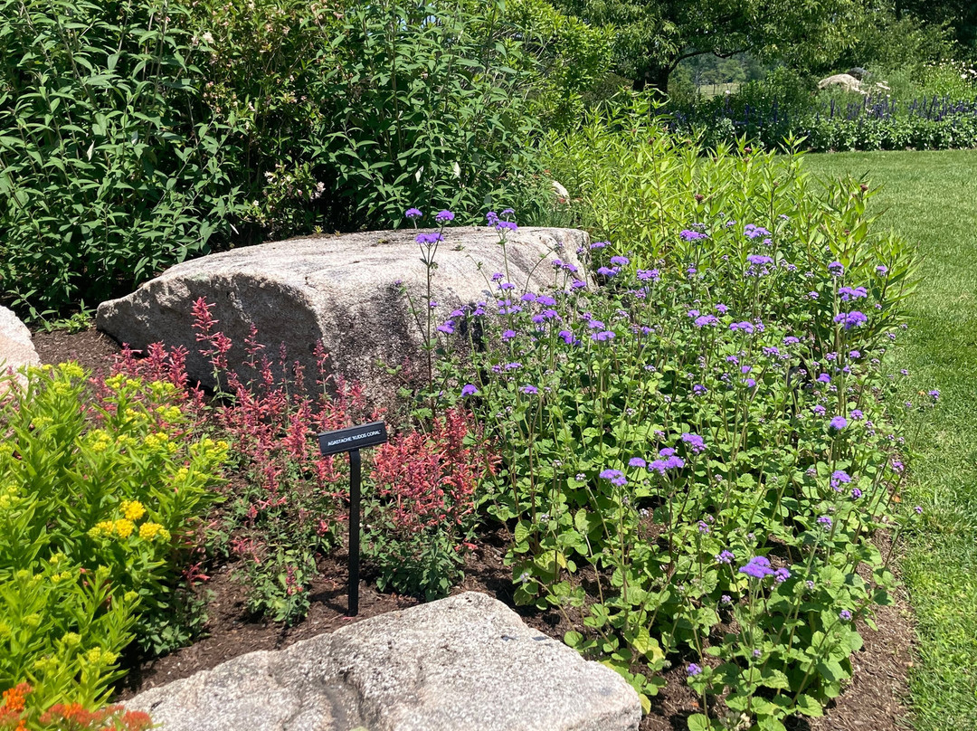 Charlotte Rhoades Garden and Butterfly Park景点图片