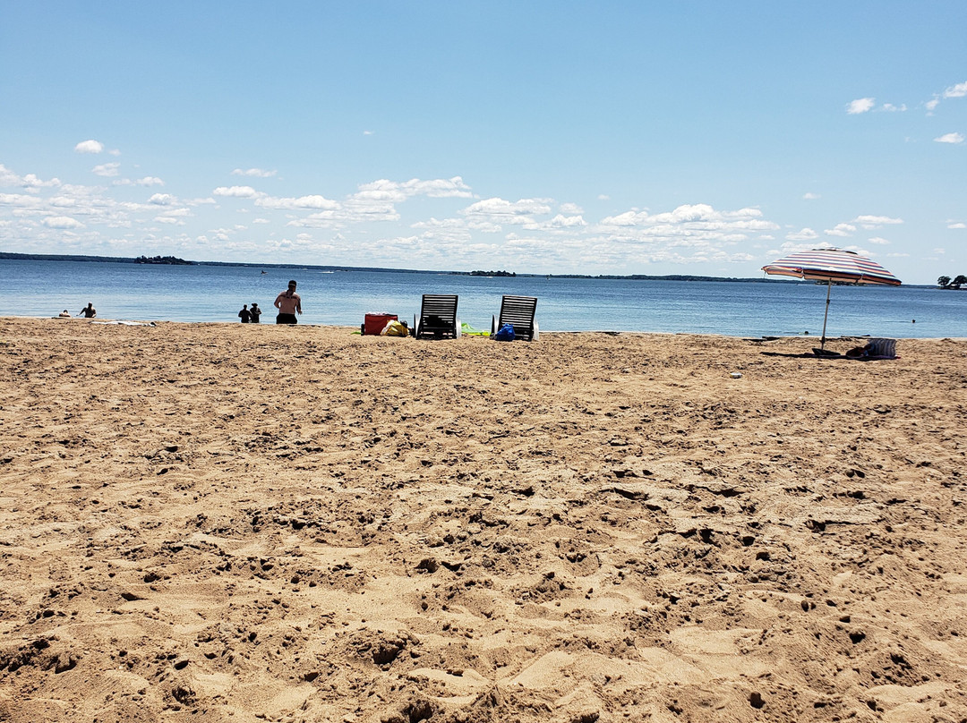 Brown’s Bay Day Park景点图片
