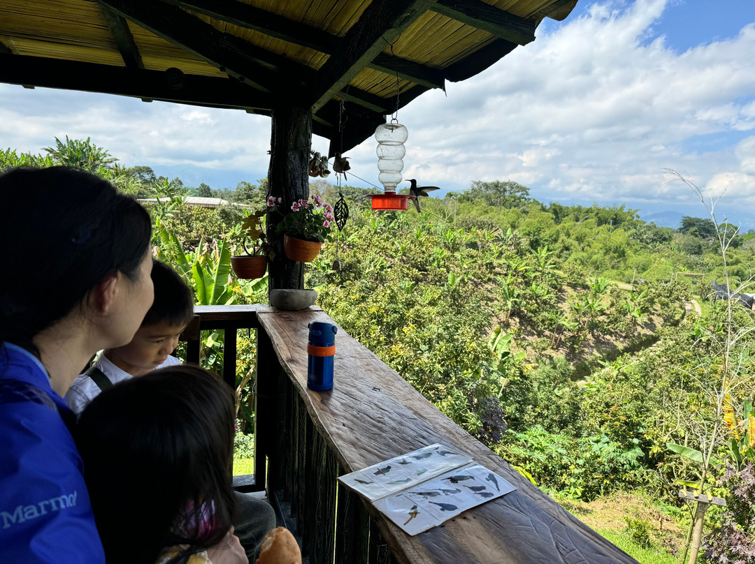Cacao Tour in Circasia, Quindío - Finca Evelyza-Circasia必去景点