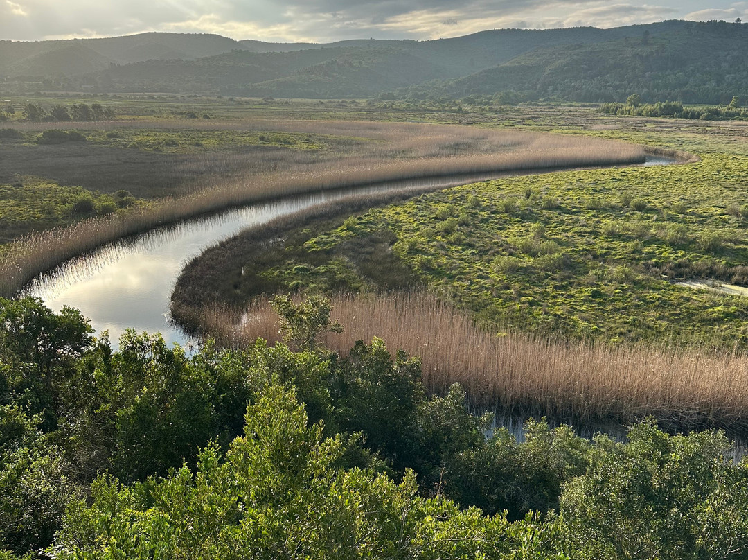 Wildly Africa-格拉罕镇必去景点