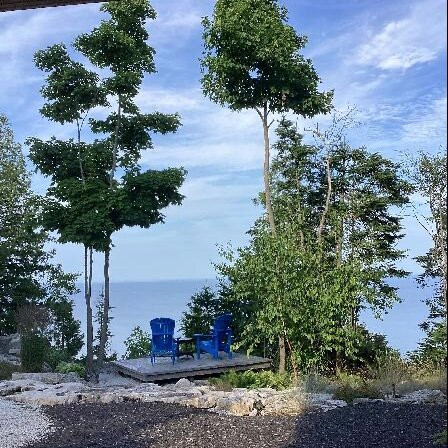 On The Cliff B&B主图