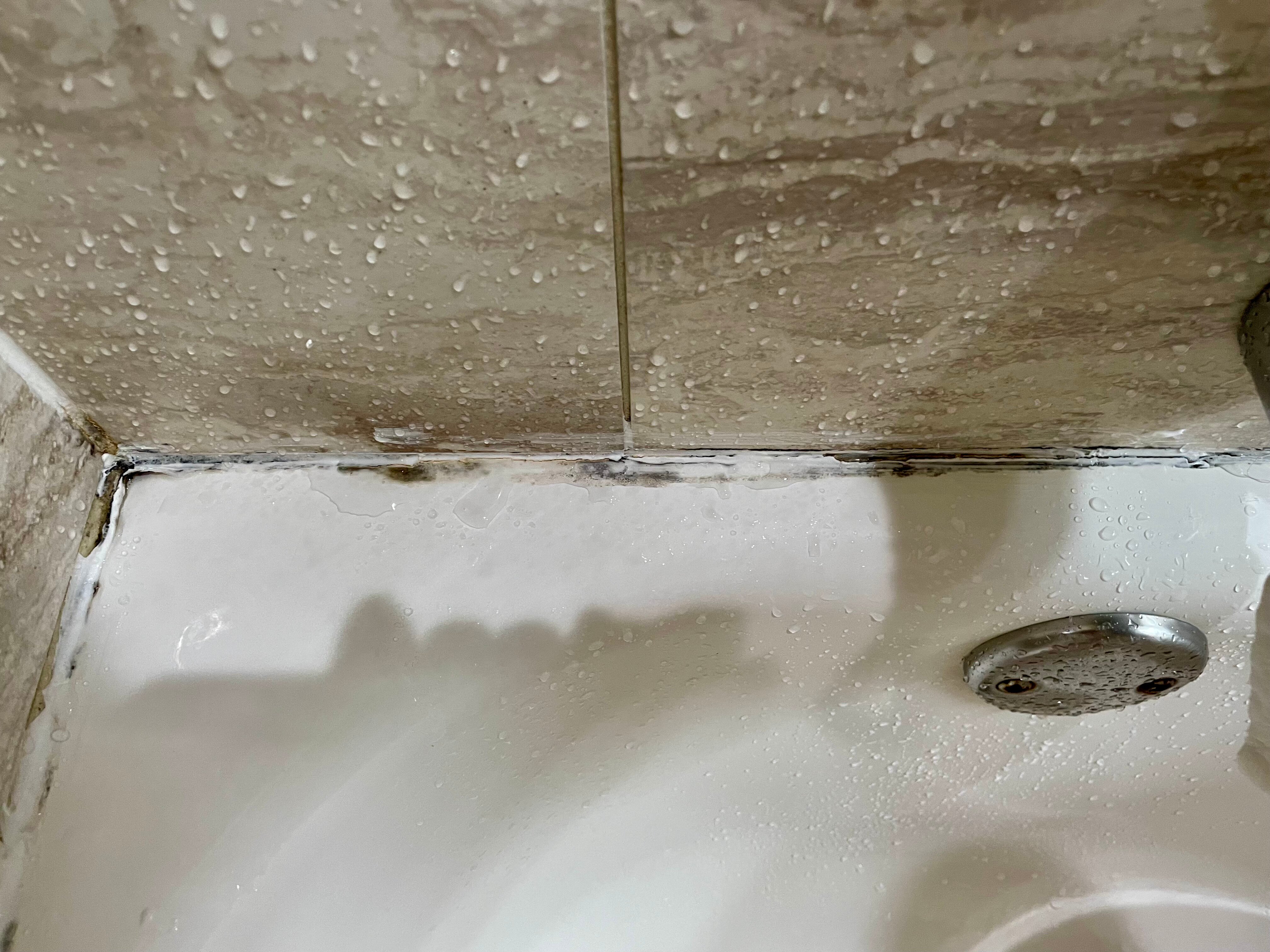 Red Lion Inn & Suites Blue Springs-客卧