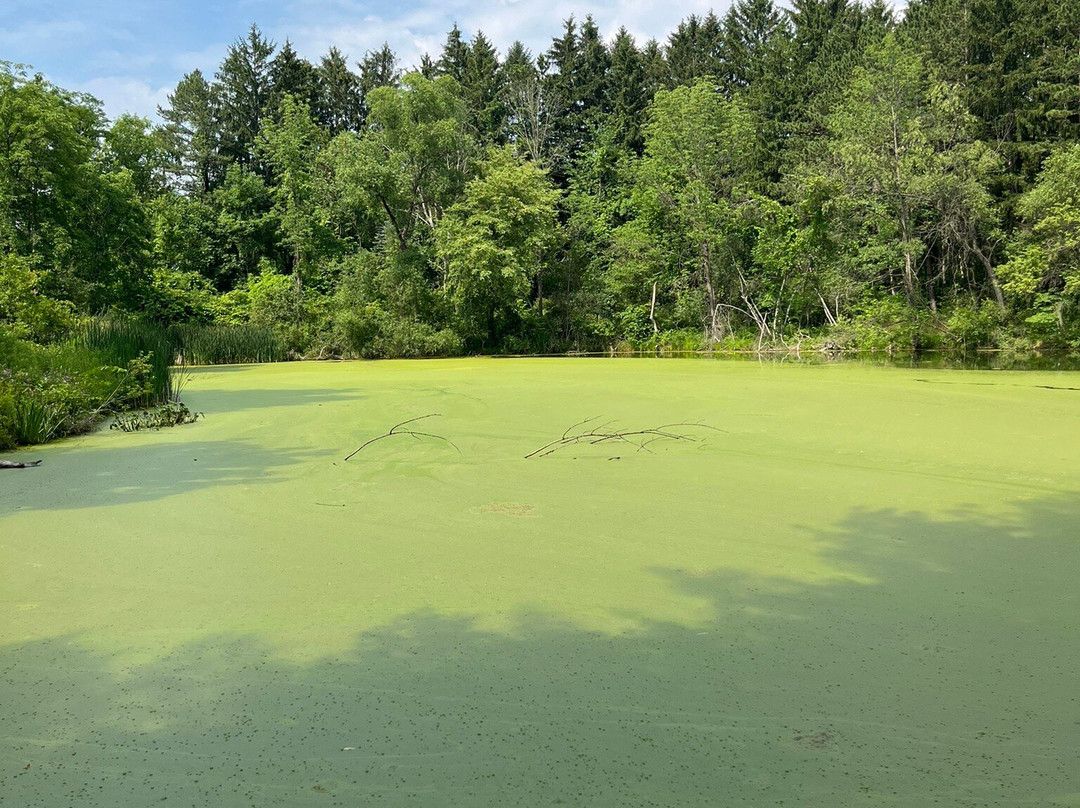 F.A. Seiberling Nature Realm-阿克伦必去景点
