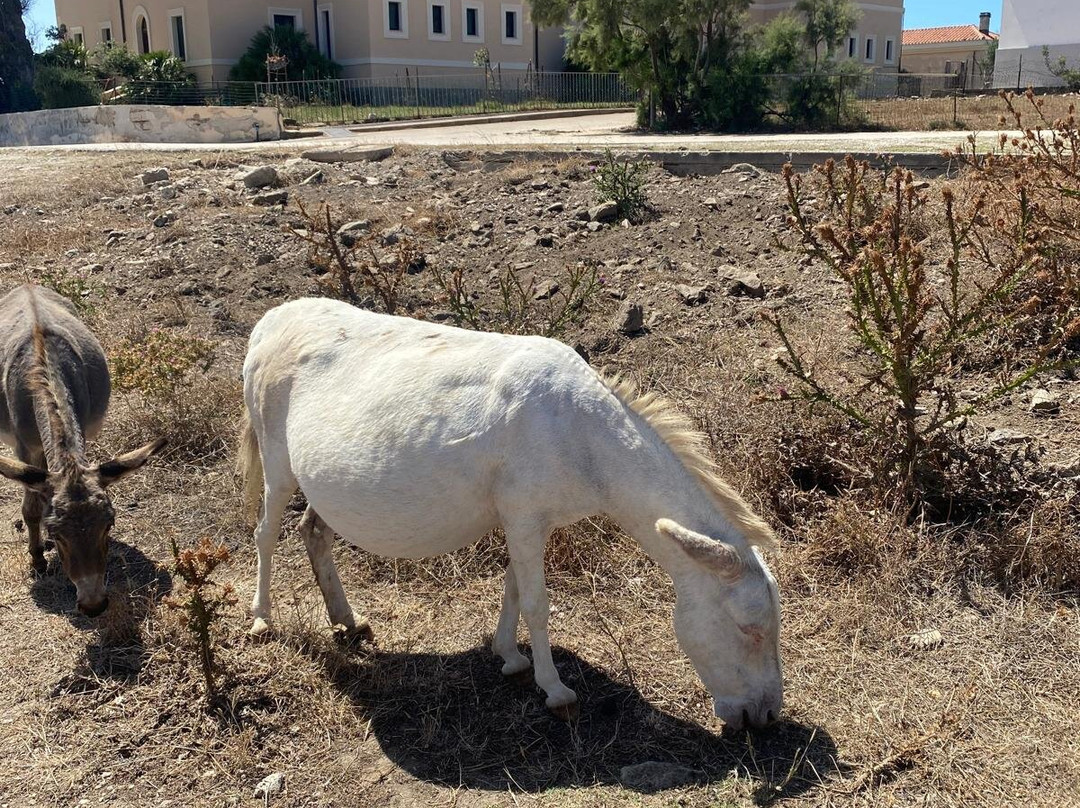 Pesca Turismo Asinara Orsa Maggiore-斯廷蒂诺必去景点