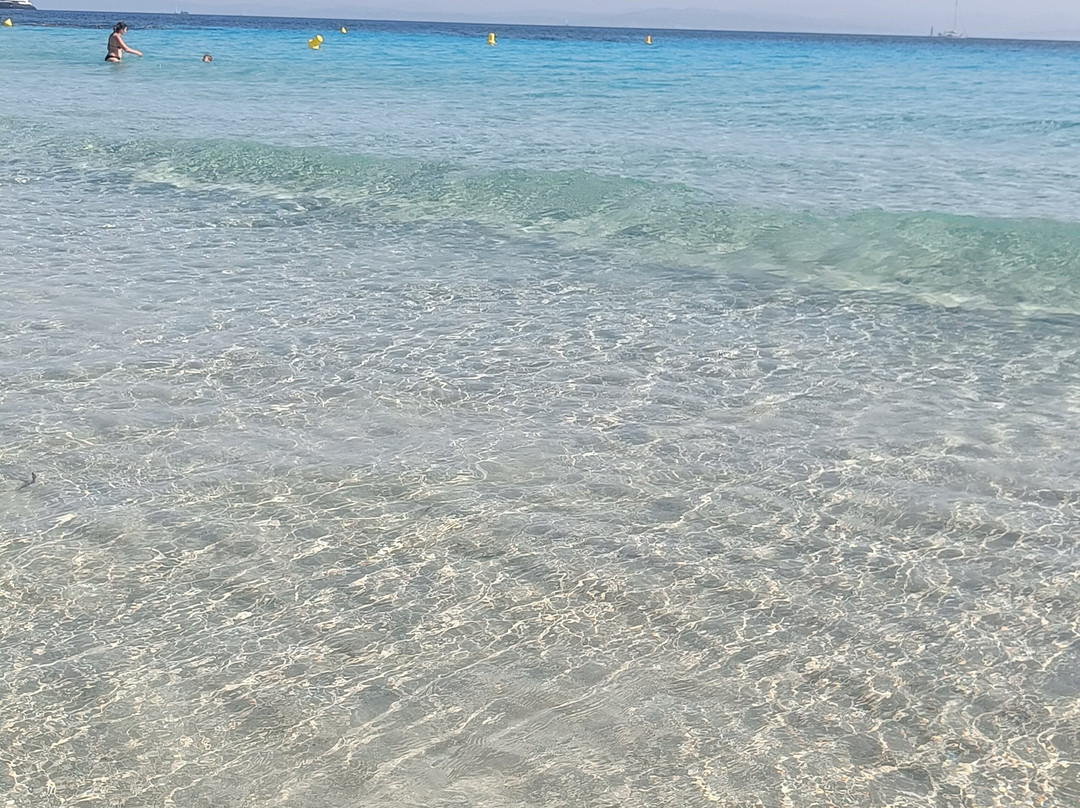 Plage du Grand Sperone景点图片