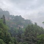 Singell Homestay主图