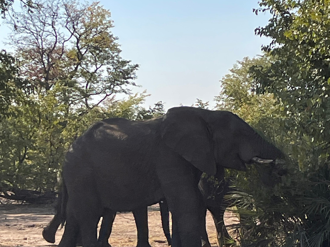 Mavumina Safaris-李文斯顿必去景点