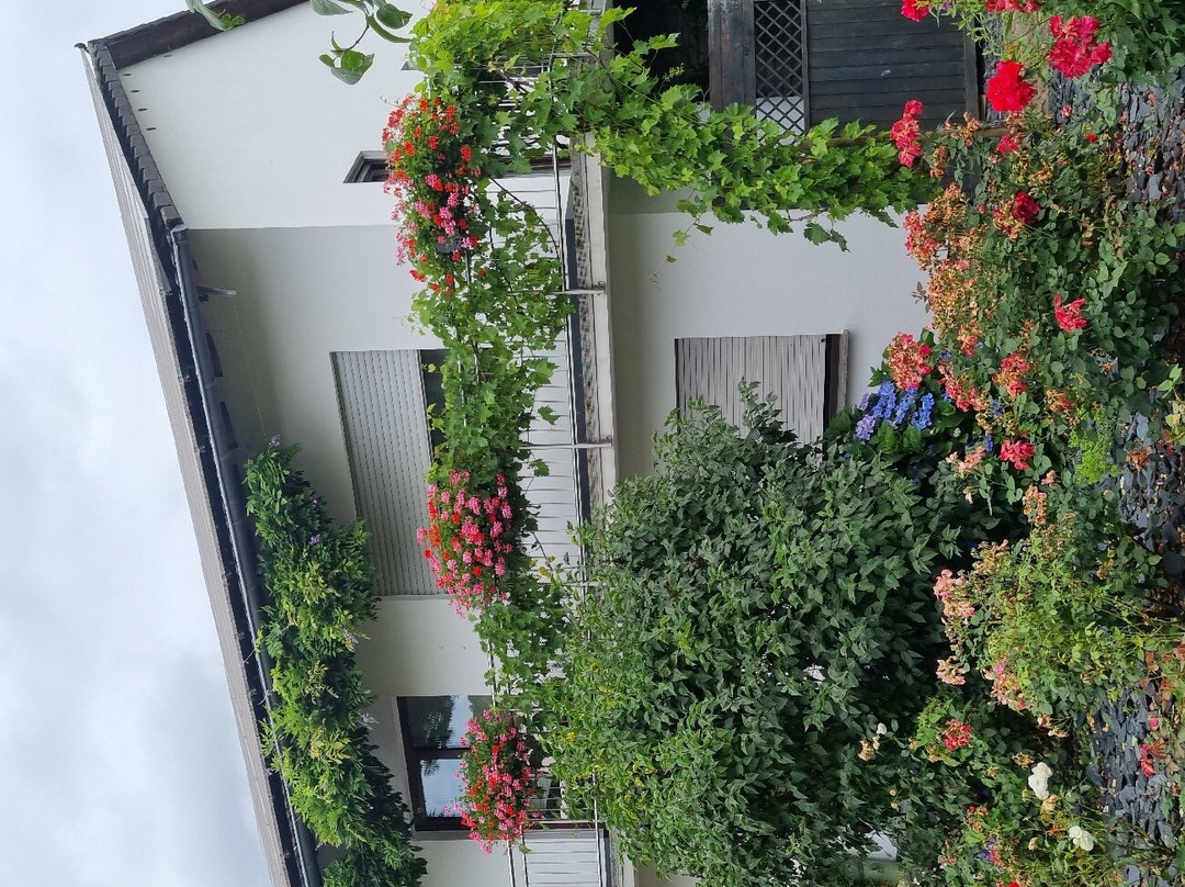 Weingut Raevenhof景点图片