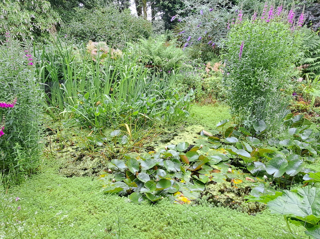 Aultaghreagh Cottage Garden
