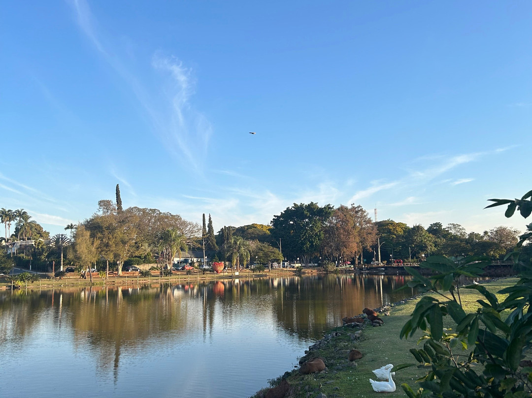 Theos Passeio Turistico-Holambra必去景点