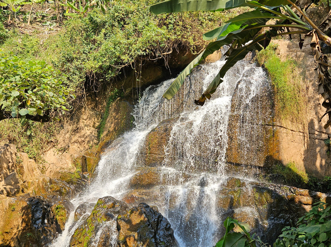 Africa Green Tours景点图片