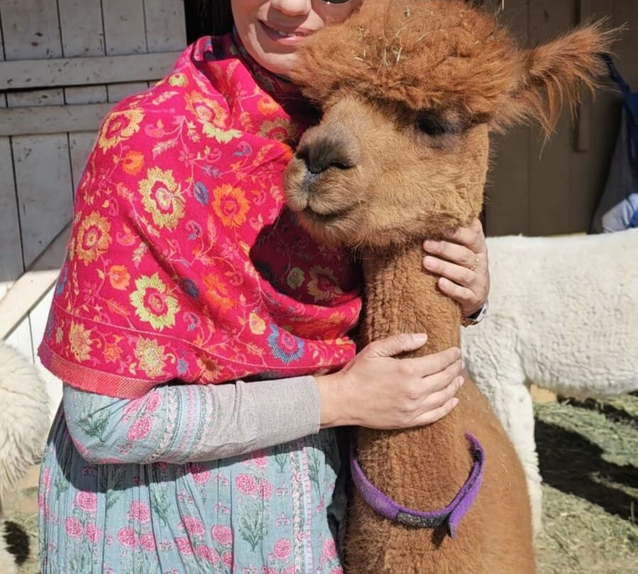 Que Sera Alpaca-圣菲必去景点