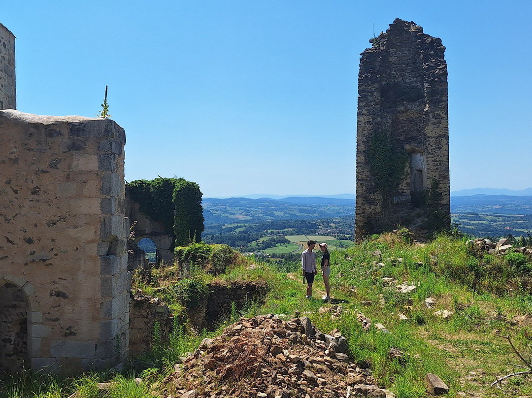 Château de la Faye景点图片