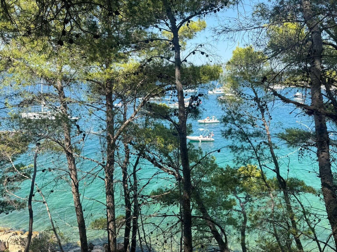 Private boat tour Ivan-Sveti Filip i Jakov必去景点