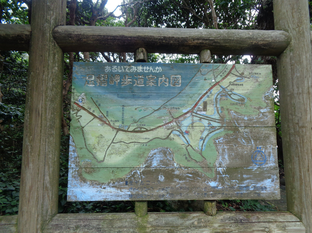 Cape Ashizuri-土佐清水市必去景点