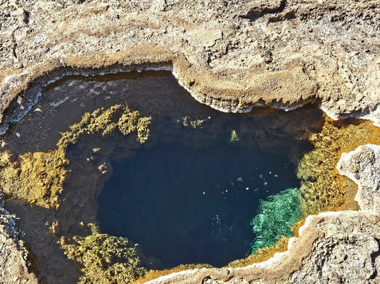 Talaroo Hot Springs-Mount Surprise必去景点