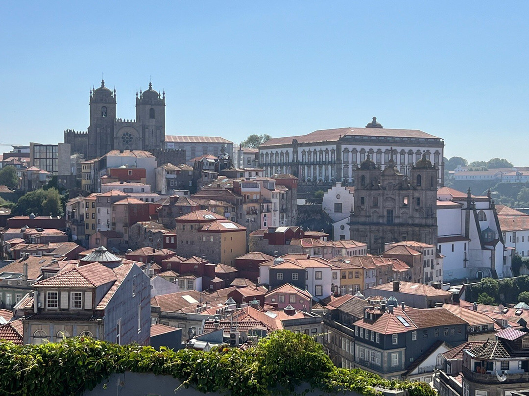 Revolutours.-波尔图必去景点