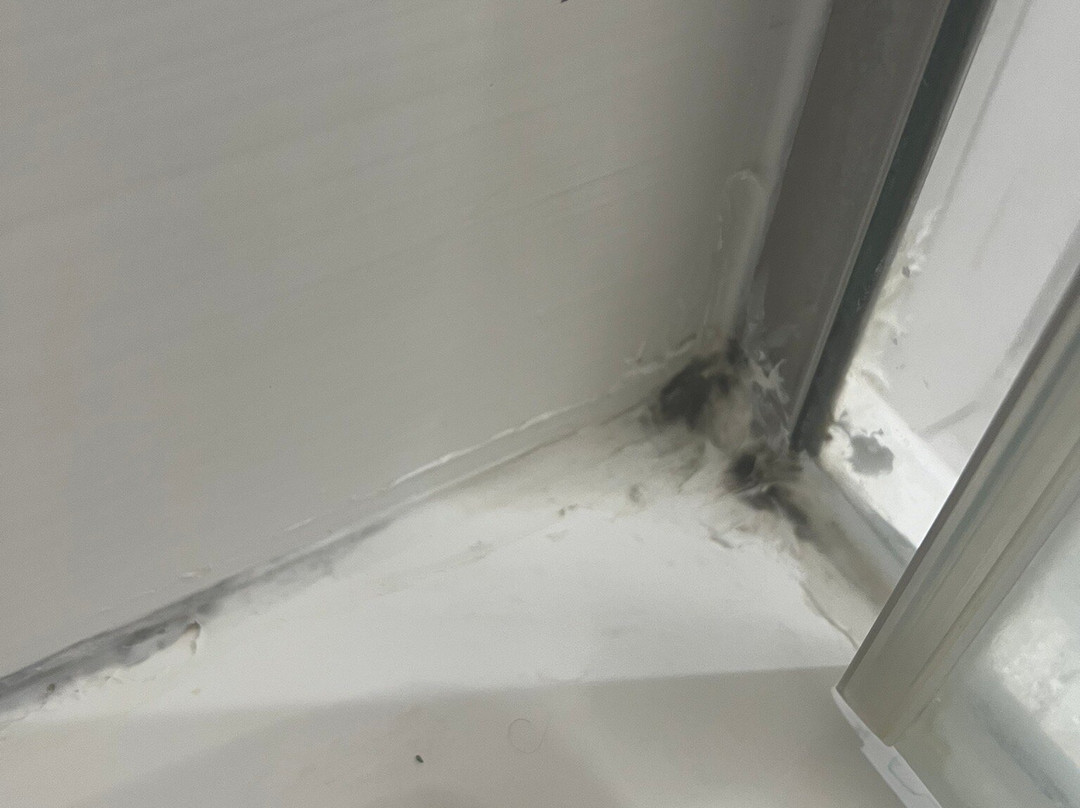 Homewood Suites by Hilton Tyler主图