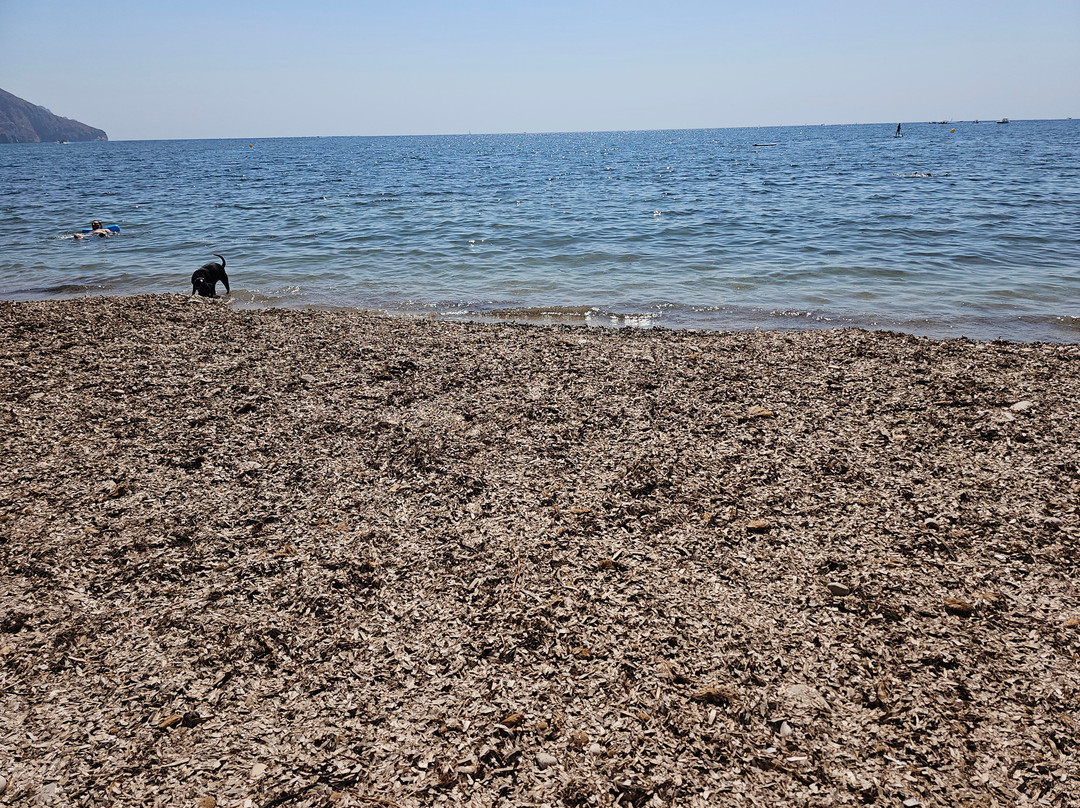 Playa  Mar y Montana景点图片