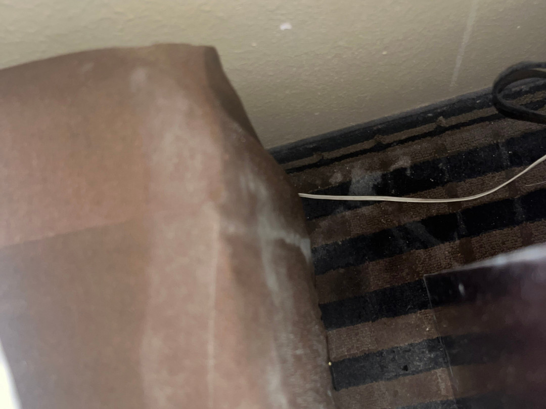 Best Western Mckenzie主图