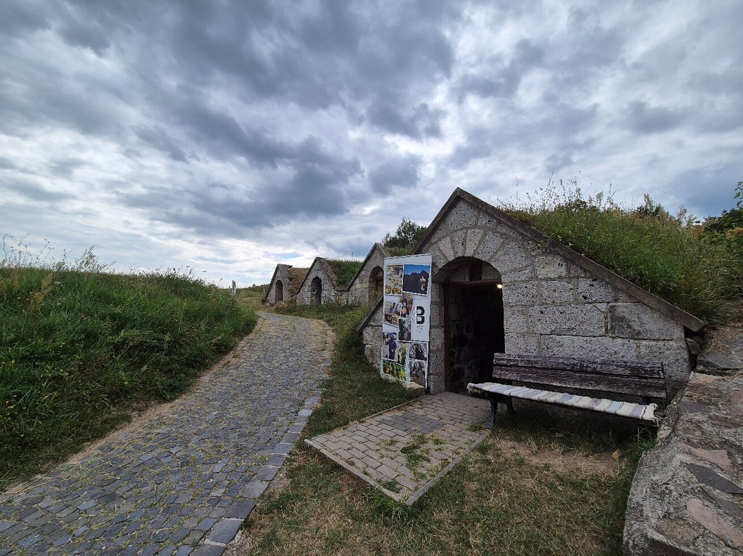 Gotz Winery景点图片