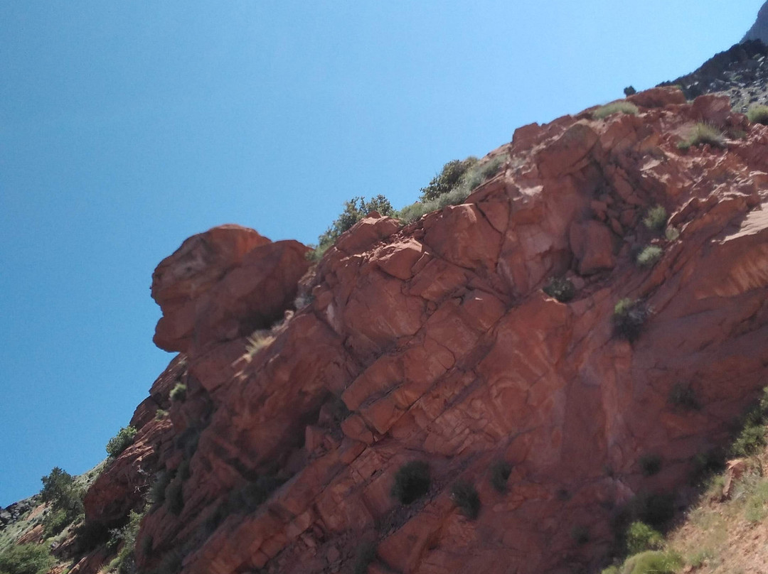 DANTE-斯普林代尔必去景点