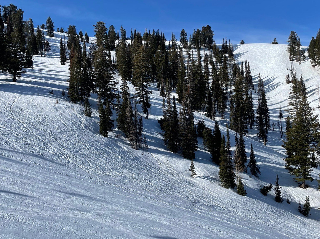 Powder Mountain景点图片