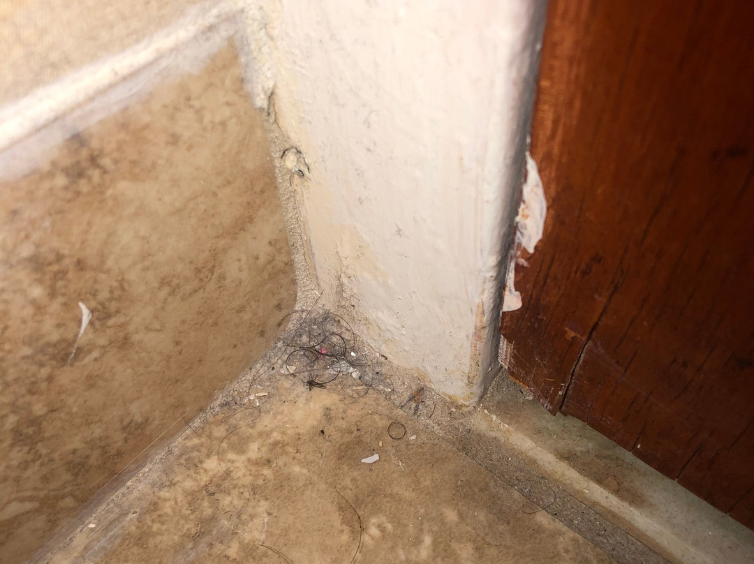 贝塞斯达美利坚饭店主图