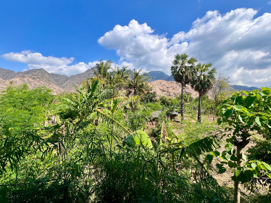 Sun Suko Boutique Retreat主图