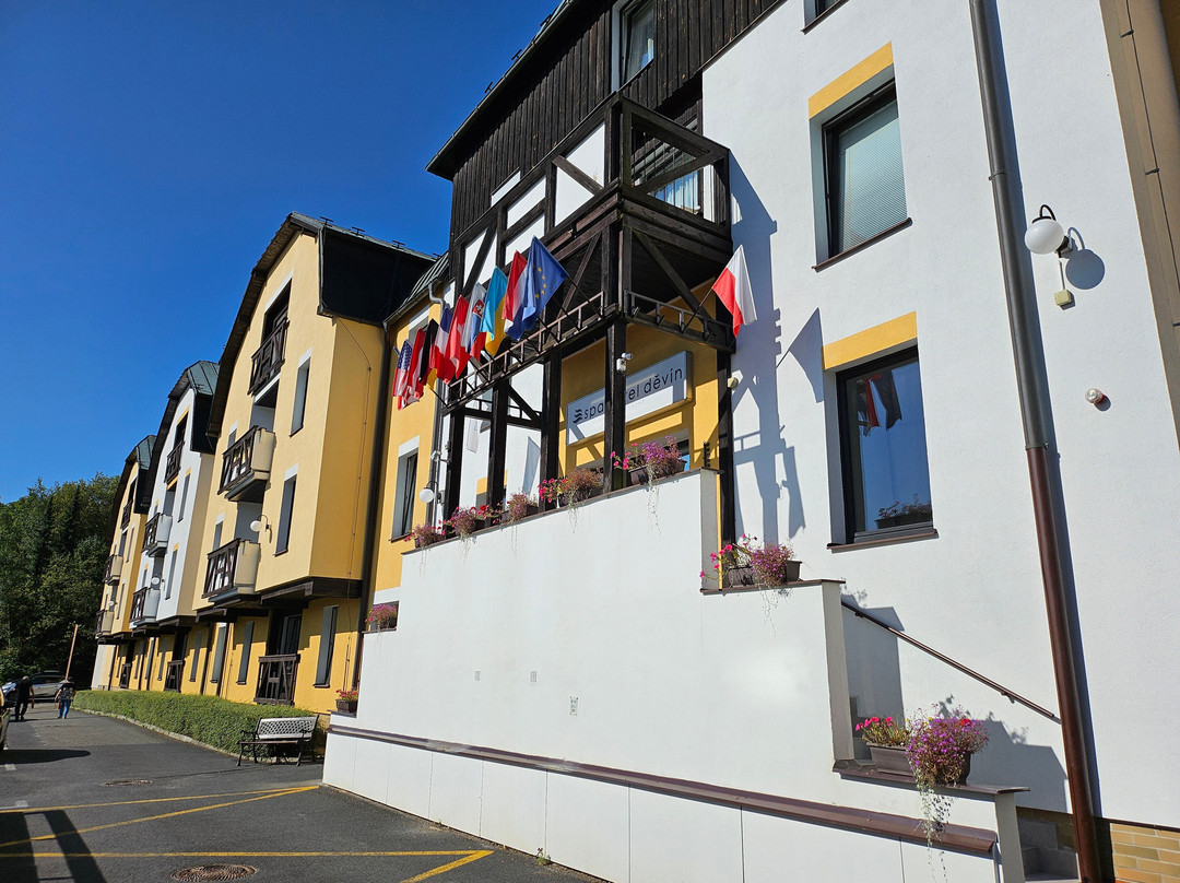 Spa Hotel Devin主图
