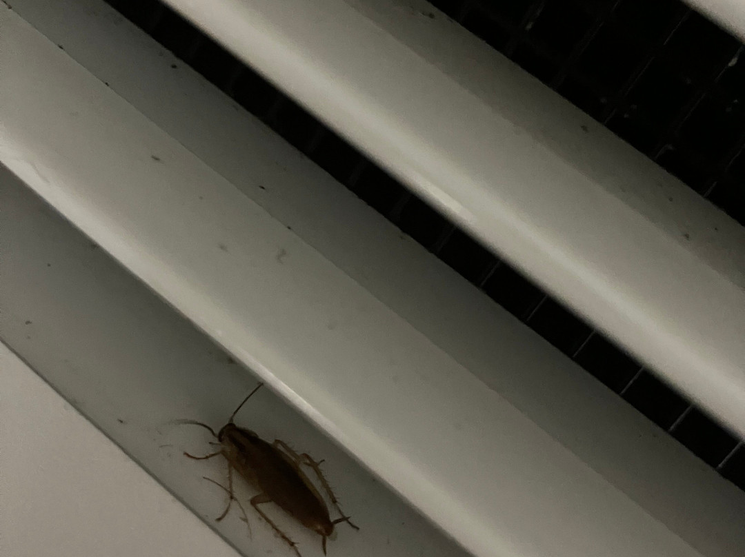 Quality Inn & Suites主图