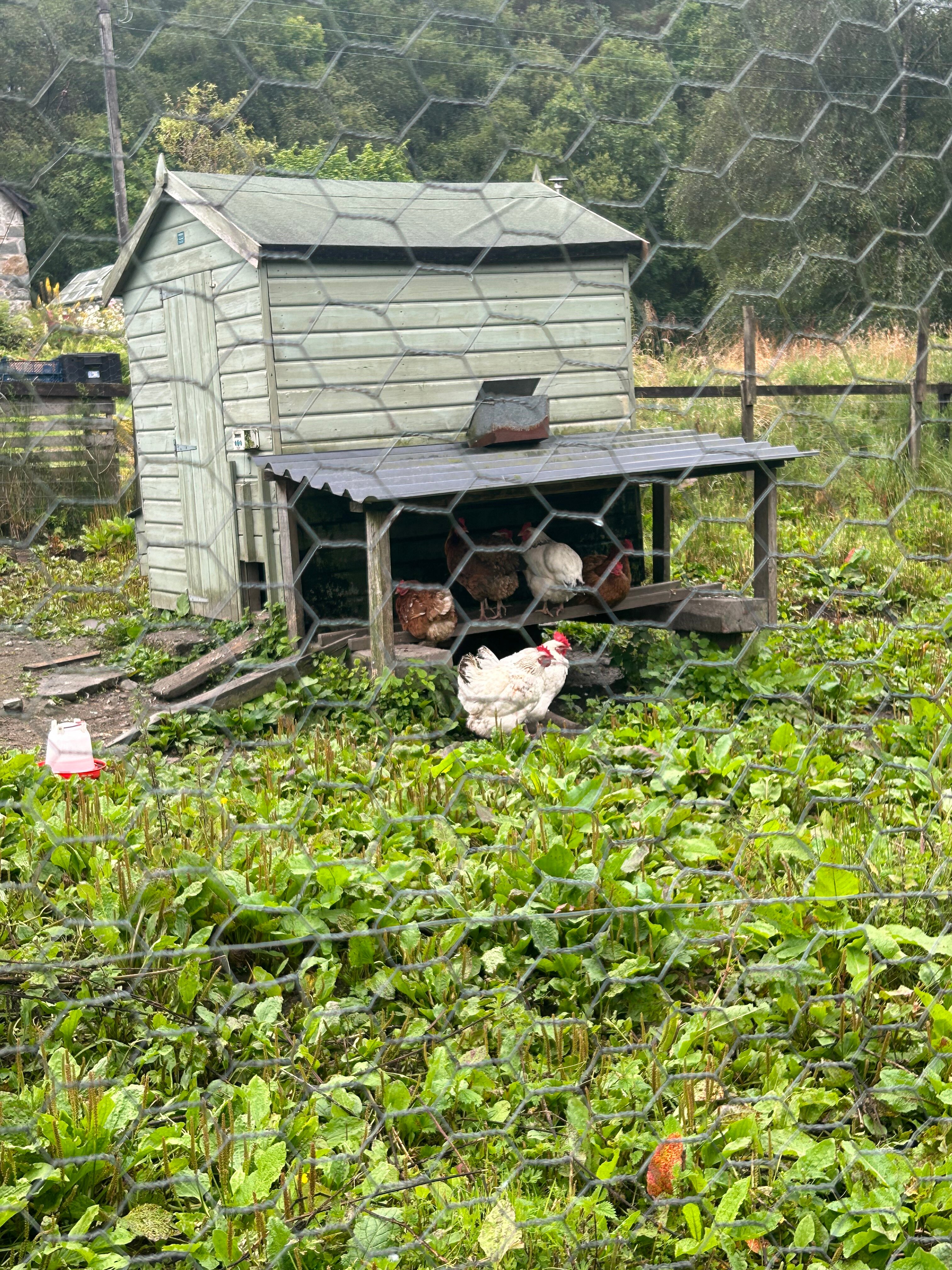 Ewich House-浴室
