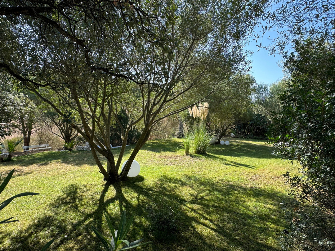B&B Villa Desideria主图