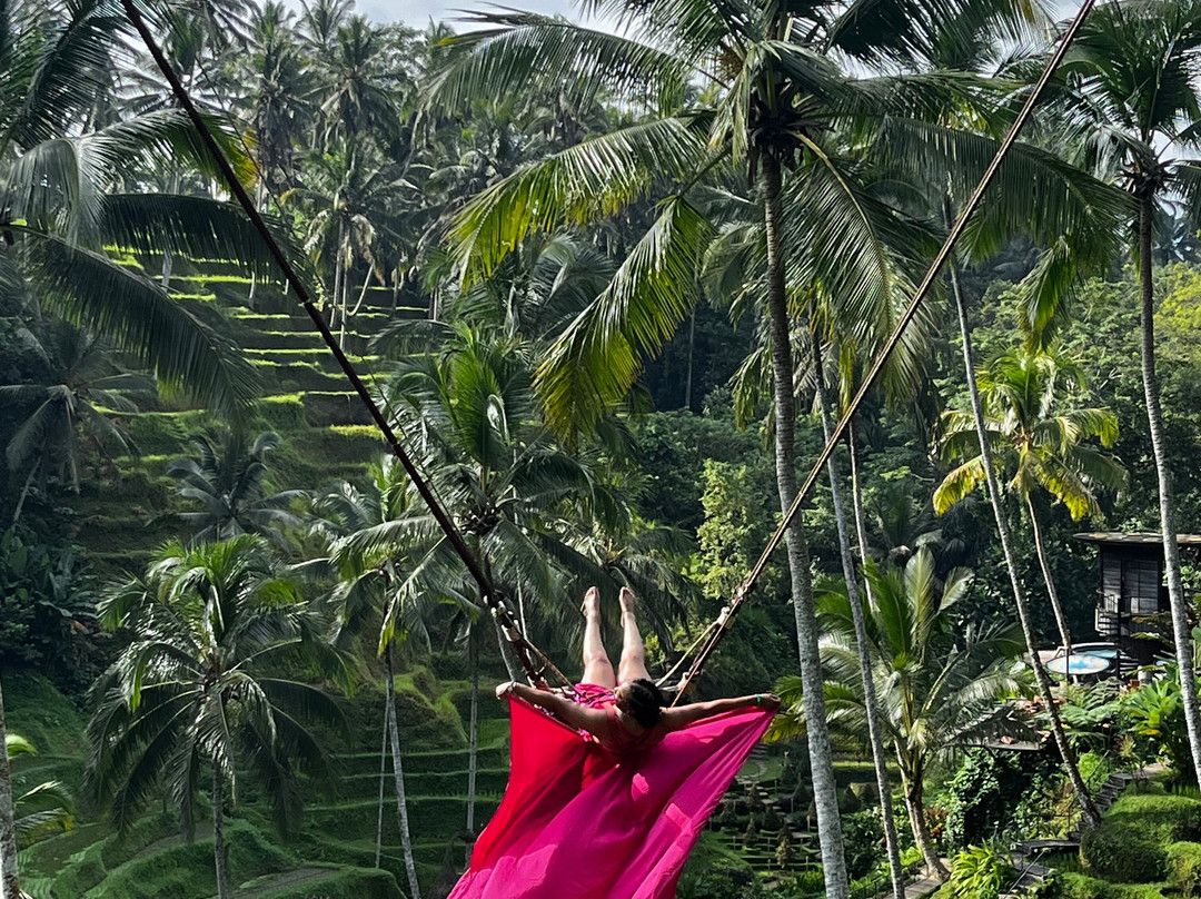 Bali Cultural Tour景点图片