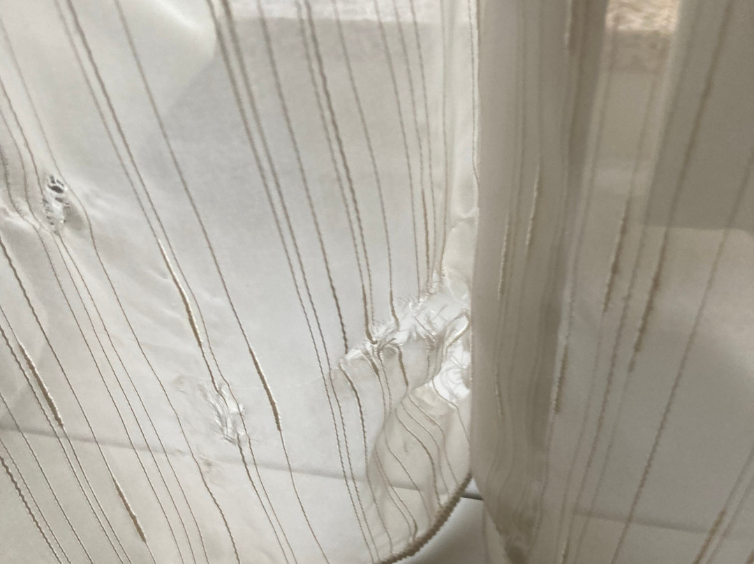 La Quinta Inn & Suites by Wyndham Ruidoso Downs主图