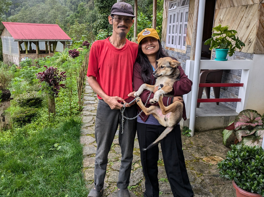 Boho Homestay, Rangbhang主图