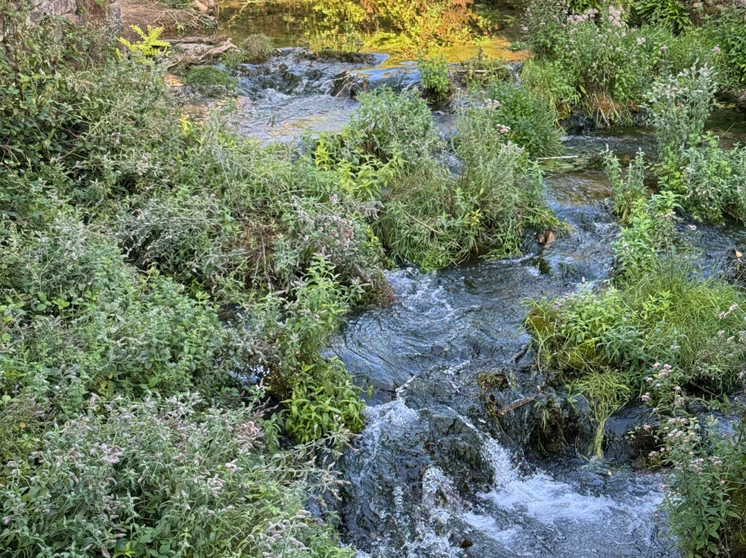 Cascade de Salles-la-Source景点图片